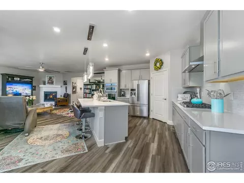6041 Gannet Dr, Timnath, CO 80547 photo 9