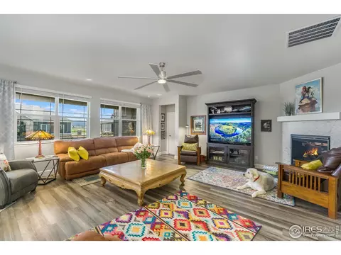 6041 Gannet Dr, Timnath, CO 80547 photo 14