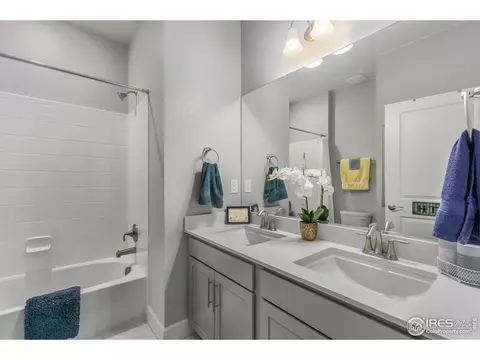 6041 Gannet Dr, Timnath, CO 80547 photo 20