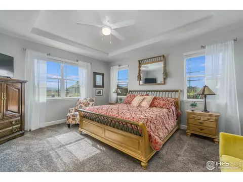 6041 Gannet Dr, Timnath, CO 80547 photo 27