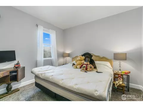 6041 Gannet Dr, Timnath, CO 80547 photo 21