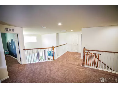 105 Ibiza Ct, Windsor, CO 80550 photo 21