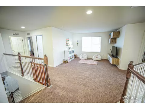 105 Ibiza Ct, Windsor, CO 80550 photo 19