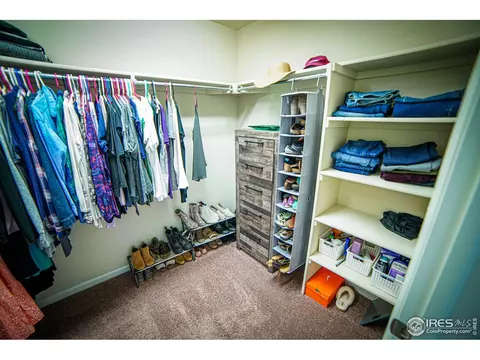 105 Ibiza Ct, Windsor, CO 80550 photo 18