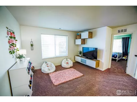 105 Ibiza Ct, Windsor, CO 80550 photo 22