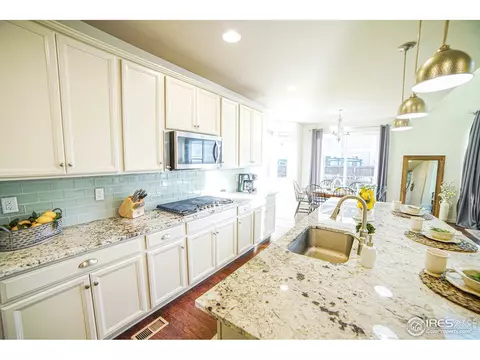 105 Ibiza Ct, Windsor, CO 80550 photo 10