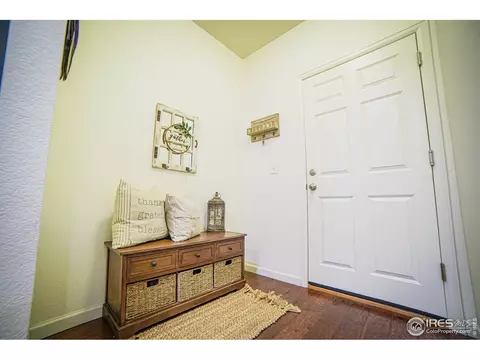 105 Ibiza Ct, Windsor, CO 80550 photo 28