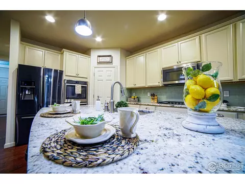 105 Ibiza Ct, Windsor, CO 80550 photo 11