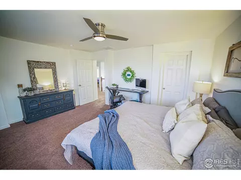 105 Ibiza Ct, Windsor, CO 80550 photo 15