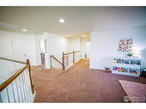 105 Ibiza Ct, Windsor, CO 80550 photo 20