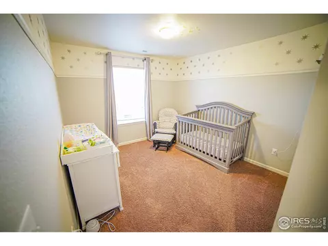105 Ibiza Ct, Windsor, CO 80550 photo 23