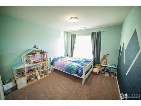 105 Ibiza Ct, Windsor, CO 80550 photo 24