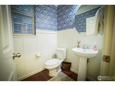 105 Ibiza Ct, Windsor, CO 80550 photo 29
