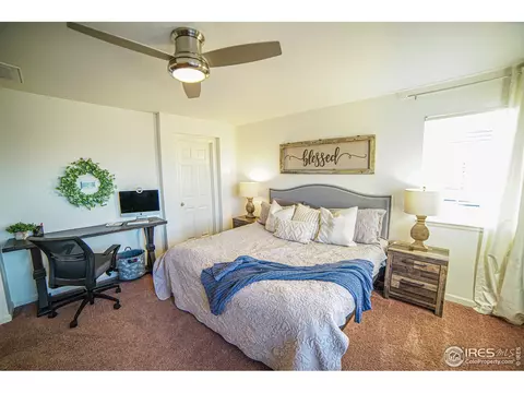 105 Ibiza Ct, Windsor, CO 80550 photo 14