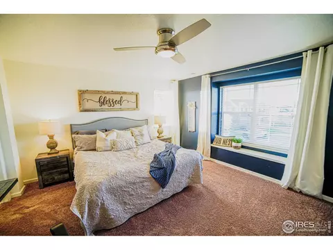 105 Ibiza Ct, Windsor, CO 80550 photo 13