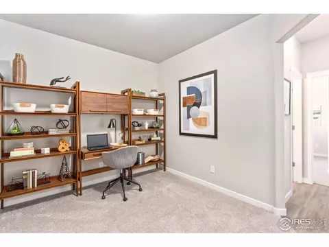 1203 Argali Dr, Severance, CO 80550 photo 17