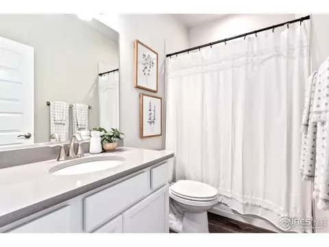 1203 Argali Dr, Severance, CO 80550 photo 16