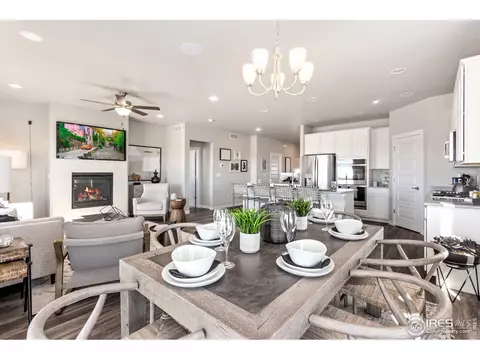 1203 Argali Dr, Severance, CO 80550 photo 9