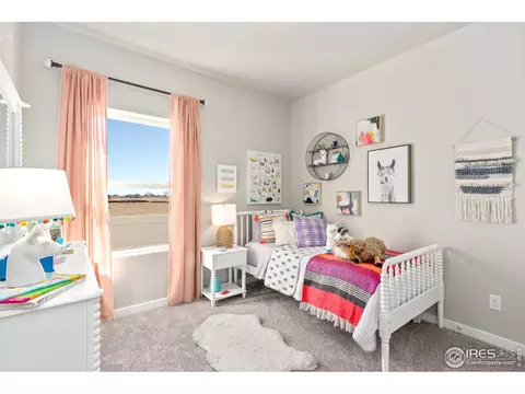 1203 Argali Dr, Severance, CO 80550 photo 15
