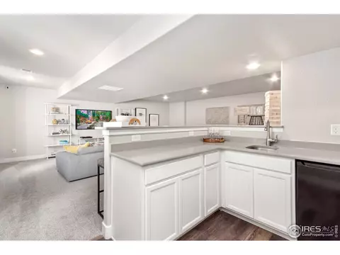 1203 Argali Dr, Severance, CO 80550 photo 18