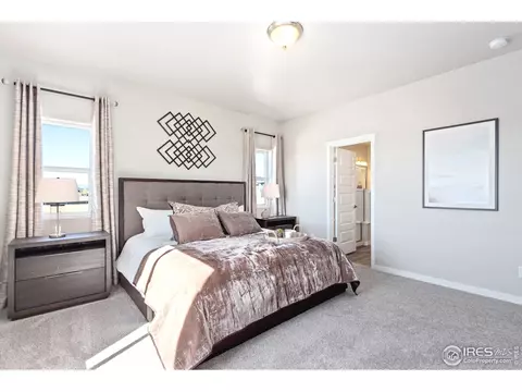 1203 Argali Dr, Severance, CO 80550 photo 11