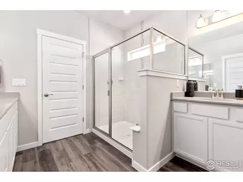 1203 Argali Dr, Severance, CO 80550 photo 13