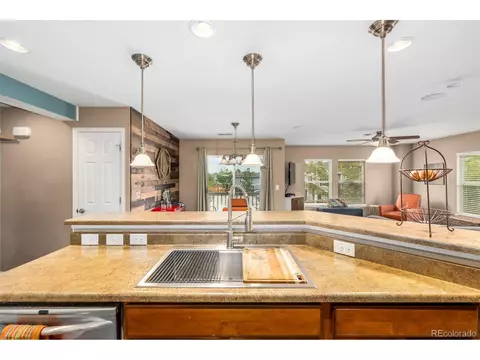 9063 Apache Plume Dr #E, Parker, CO 80134 photo 17