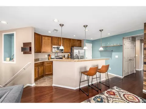 9063 Apache Plume Dr #E, Parker, CO 80134 photo 13