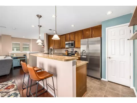 9063 Apache Plume Dr #E, Parker, CO 80134 photo 11