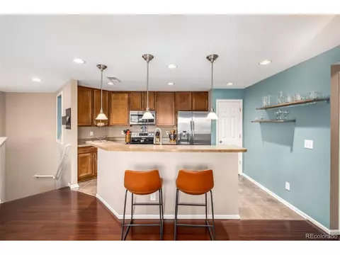 9063 Apache Plume Dr #E, Parker, CO 80134 photo 12