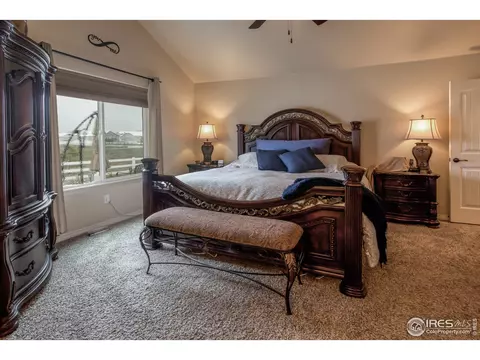 5535 Bexley Dr, Windsor, CO 80550 photo 16