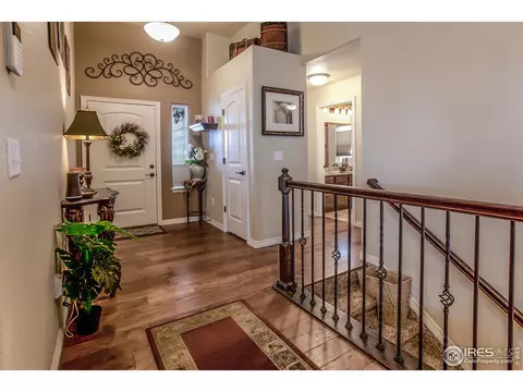 5535 Bexley Dr, Windsor, CO 80550 photo 5