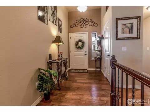 5535 Bexley Dr, Windsor, CO 80550 photo 4