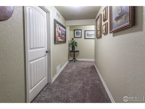5535 Bexley Dr, Windsor, CO 80550 photo 28