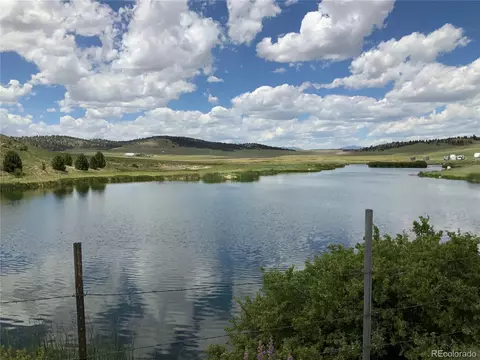 1593 Yellowstone Rd, Hartsel, CO 80449