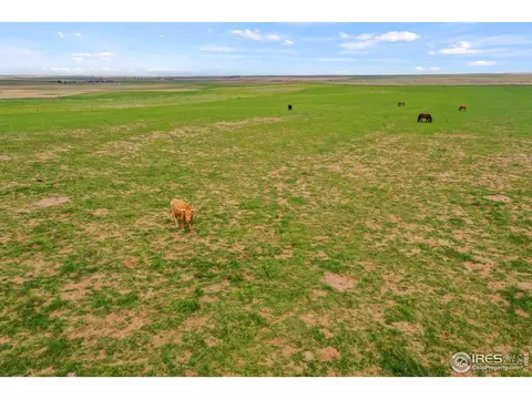 46376 County Road 53, Bennett, CO 80102 photo 30