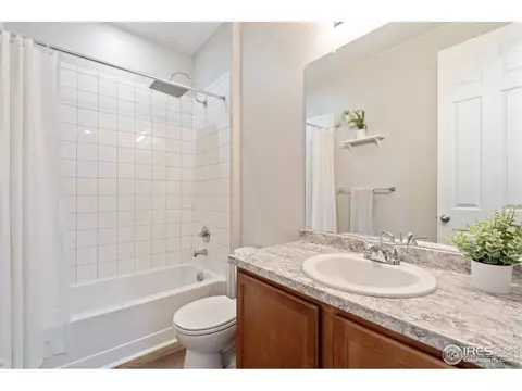 5474 Bexley Dr, Windsor, CO 80550 photo 20