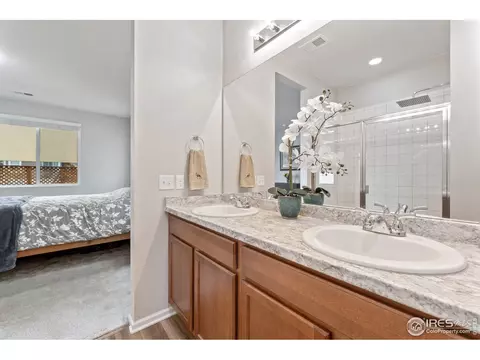 5474 Bexley Dr, Windsor, CO 80550 photo 18