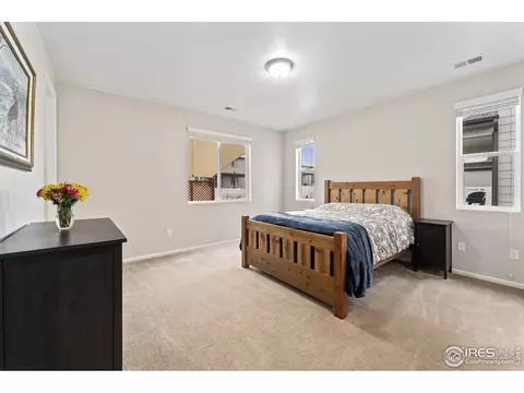 5474 Bexley Dr, Windsor, CO 80550 photo 14