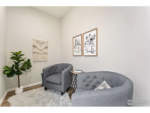 5474 Bexley Dr, Windsor, CO 80550 photo 13