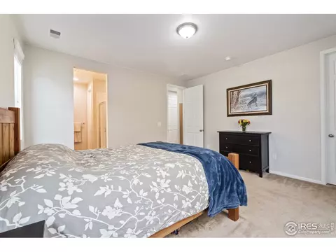 5474 Bexley Dr, Windsor, CO 80550 photo 15