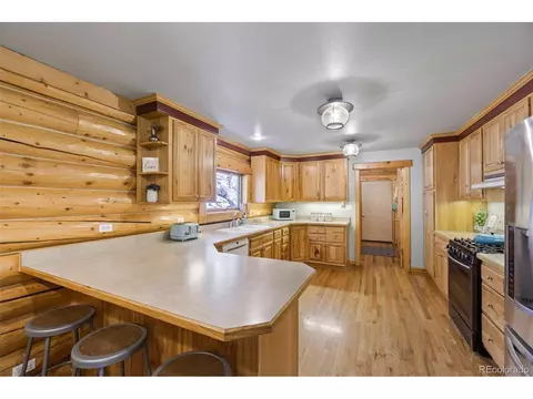 29054 Mangy Moose Trl, Pine, CO 80470 photo 14