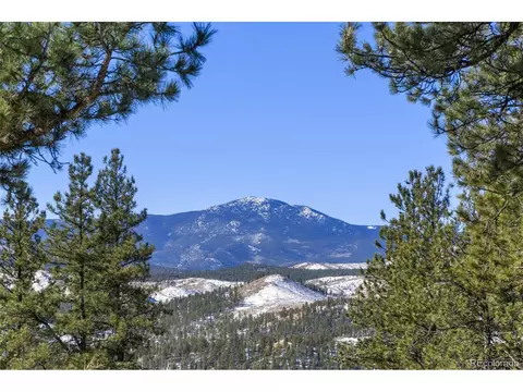 29054 Mangy Moose Trl, Pine, CO 80470 photo 37
