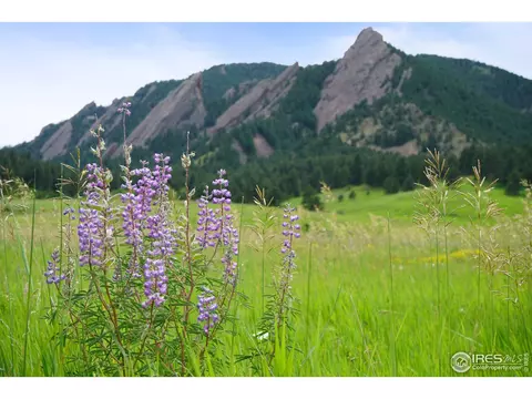 2303 Vineyard Pl, Boulder, CO 80304 photo 33