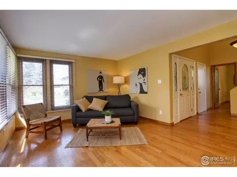 11265 Quivas Loop, Westminster, CO 80234 photo 5