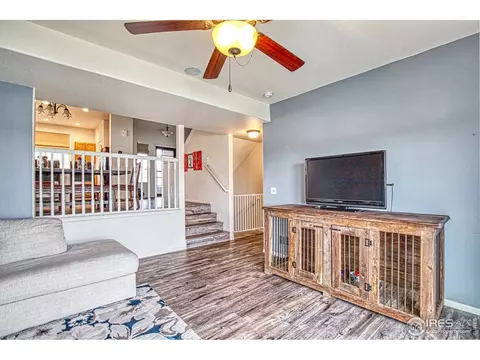 2812 Avocado Ave, Greeley, CO 80631 photo 13