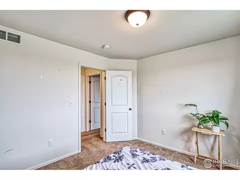 2812 Avocado Ave, Greeley, CO 80631 photo 20