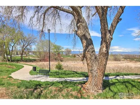 14016 Jackson St, Thornton, CO 80602 photo 32
