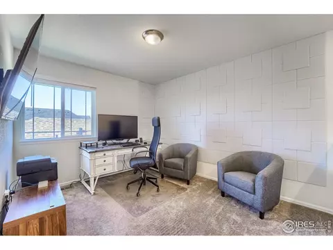 14016 Jackson St, Thornton, CO 80602 photo 22