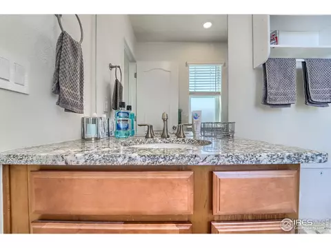 14016 Jackson St, Thornton, CO 80602 photo 18